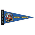 Full Color Pennants - 18" x 8"